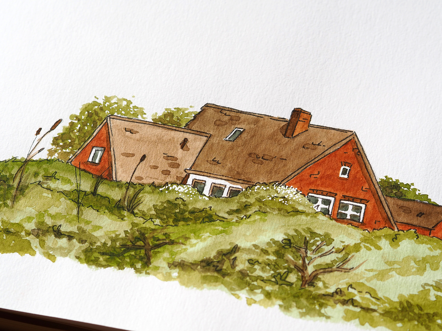 Borkum Franziska Zahn