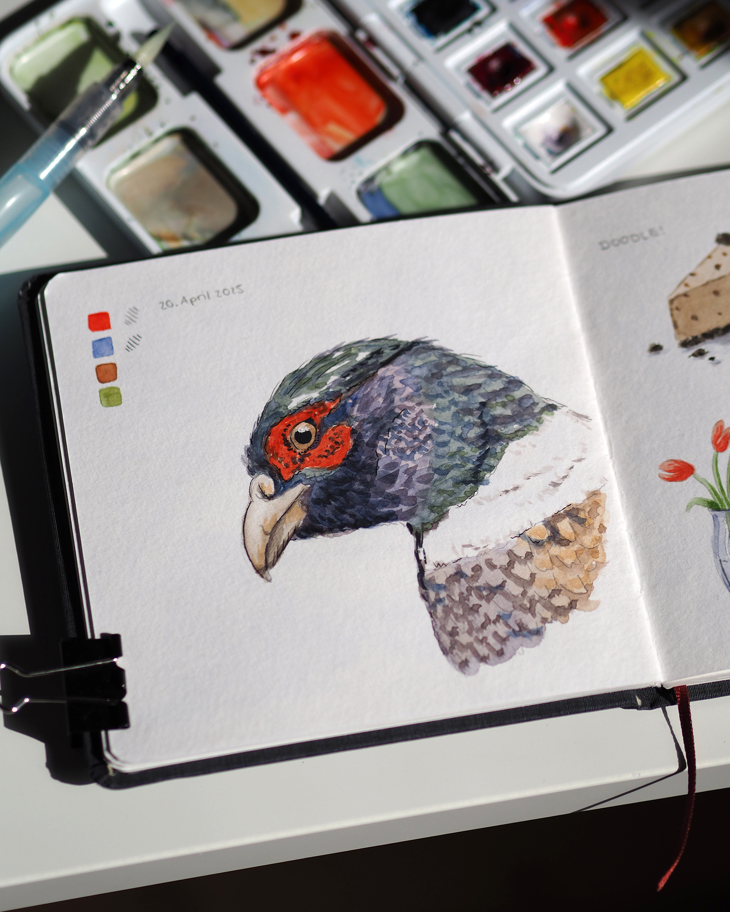 Fasan Franziska Zahn