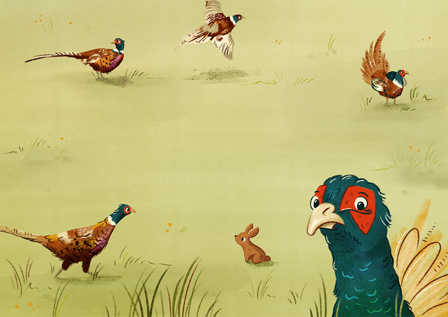 Fasane Franziska Zahn