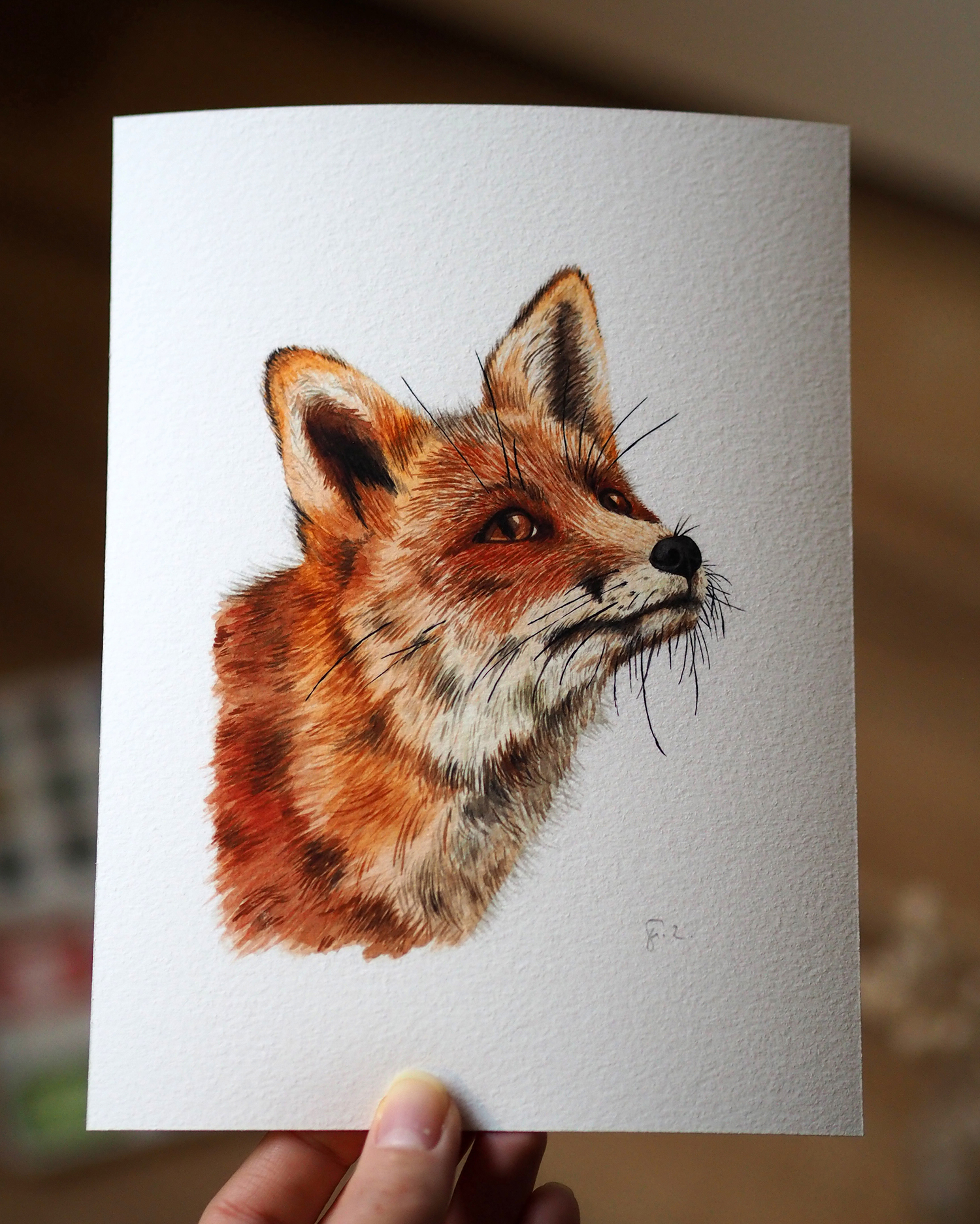 Fuchs Franziska Zahn