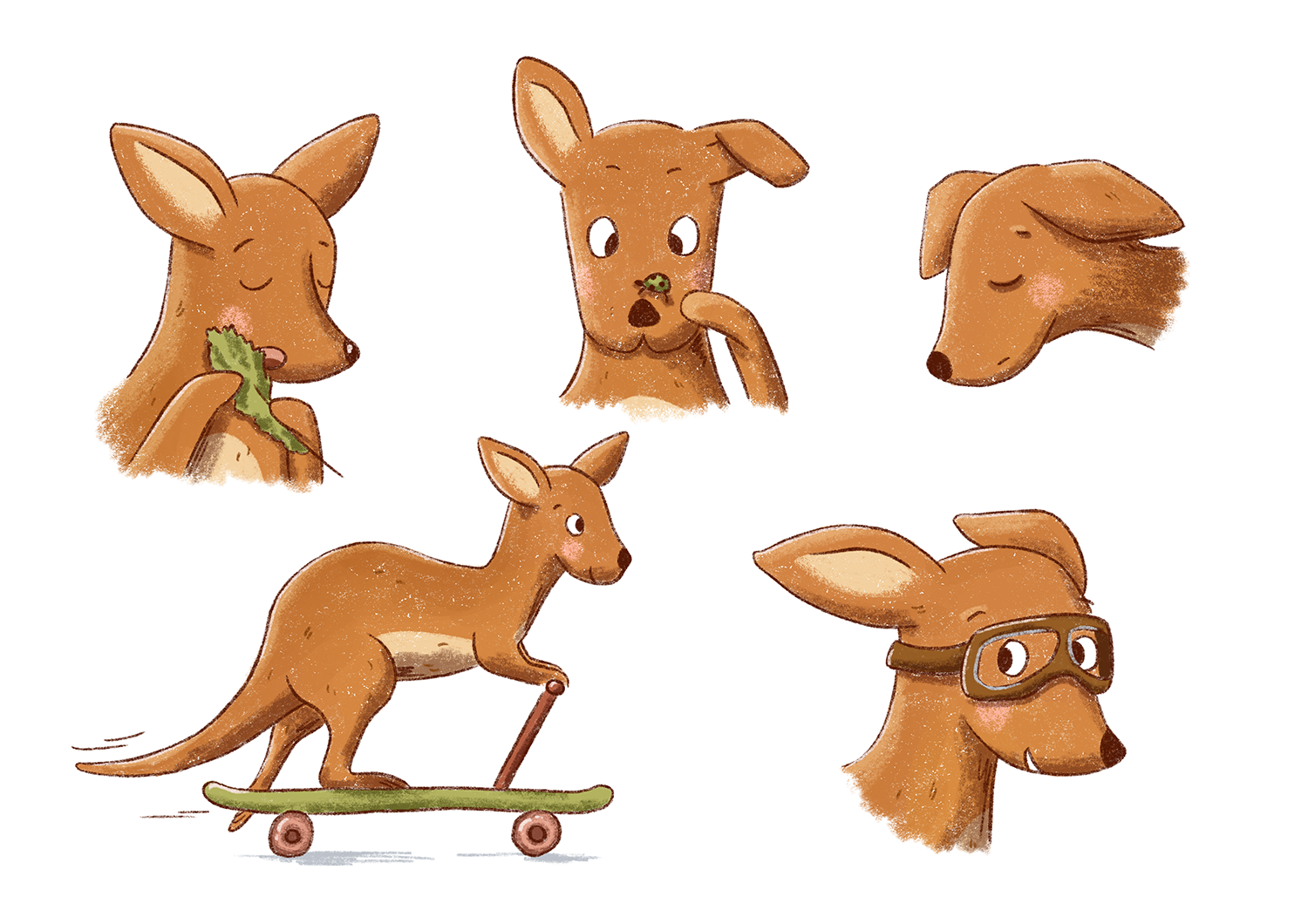 Känguru Franziska Zahn