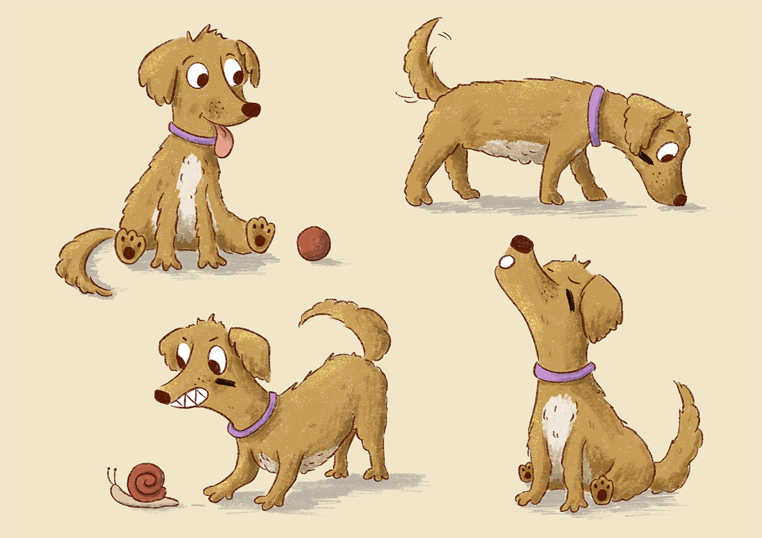 Willibert Franziska Zahn