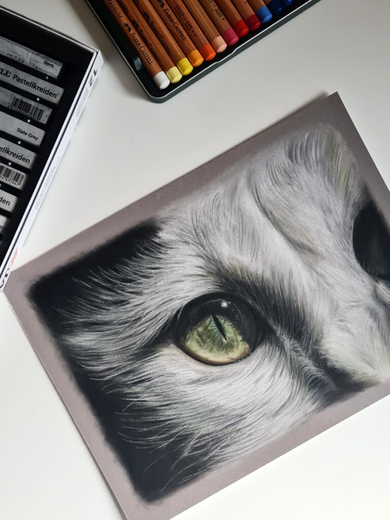 Katzenauge Franziska Zahn