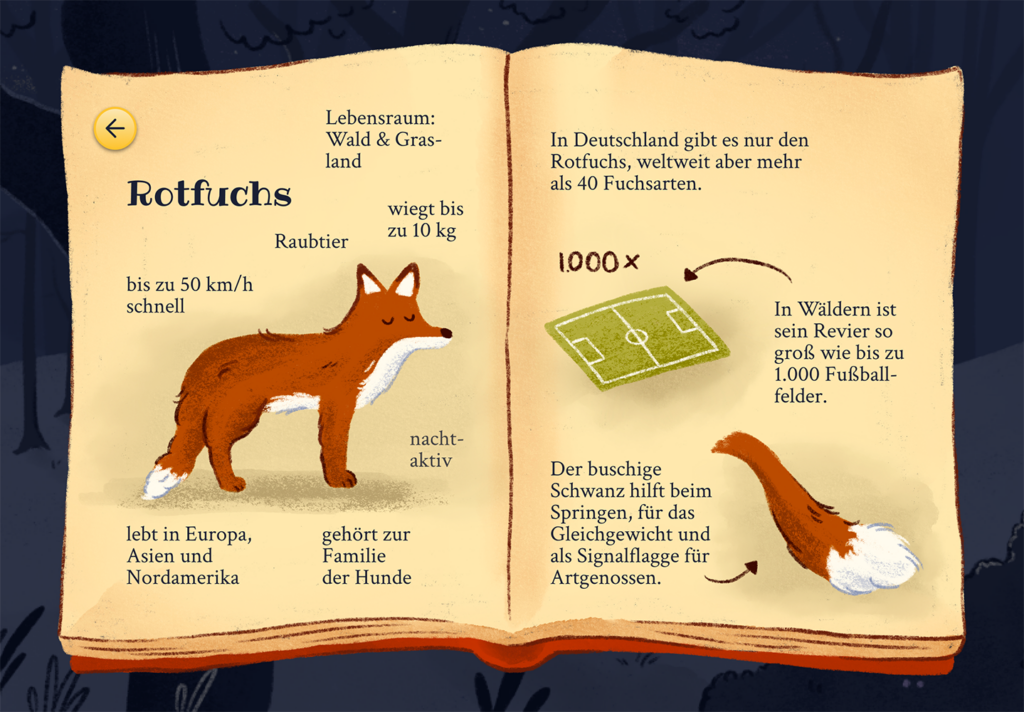 Franziska Zahn App-Design Flimmer 3