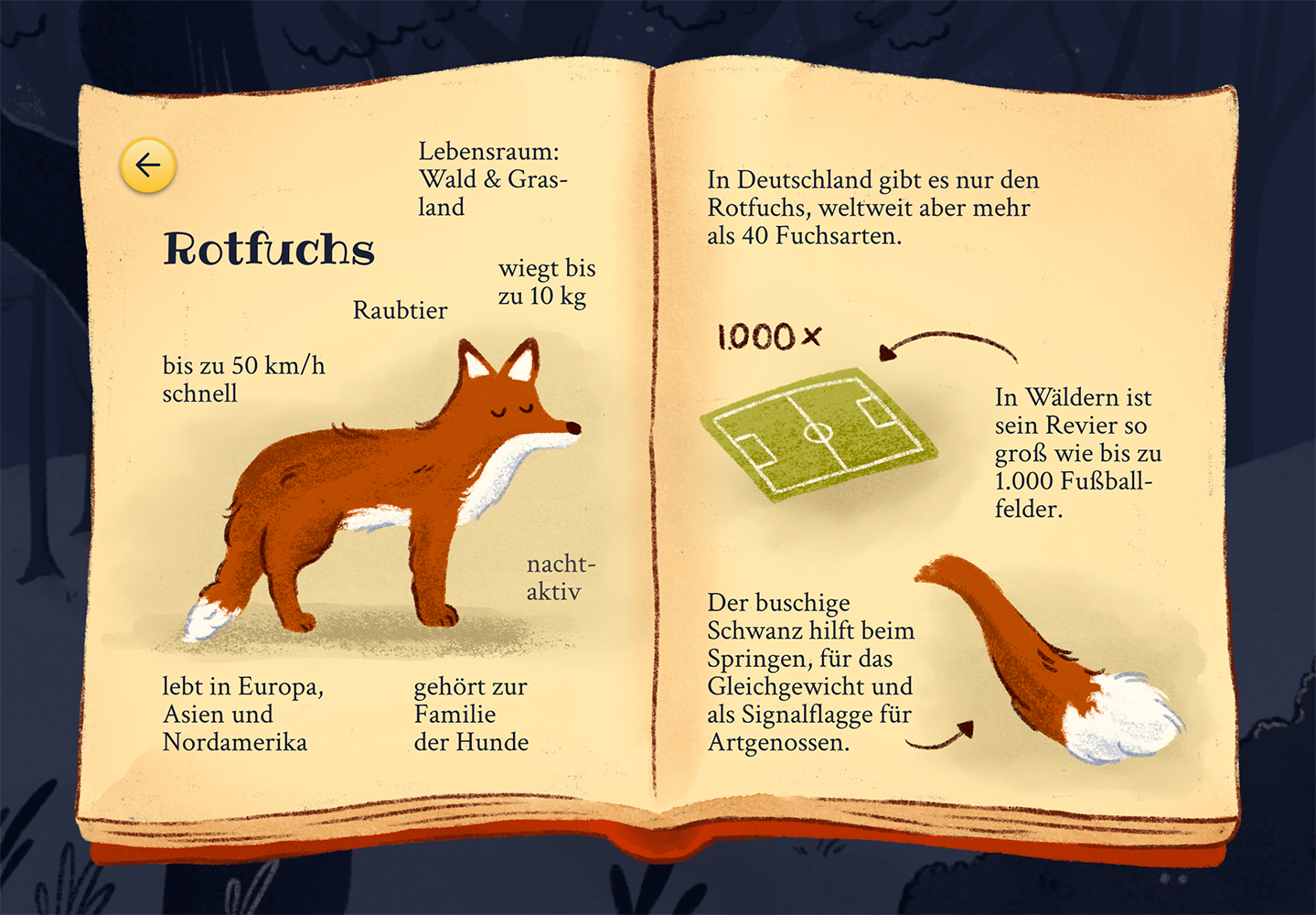 Franziska Zahn App-Design Flimmer 3